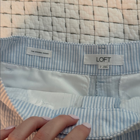 Loft Shorts - Picture 3 of 4